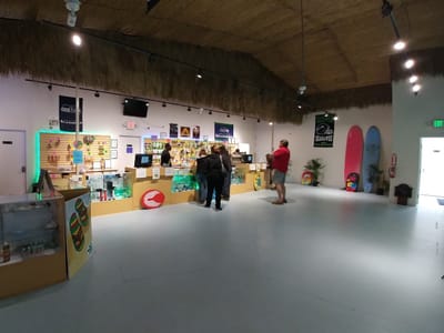 Cannabis 21 - Ocean Shores