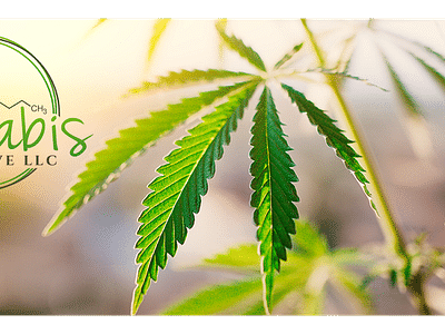 Cannabis Collective LLC