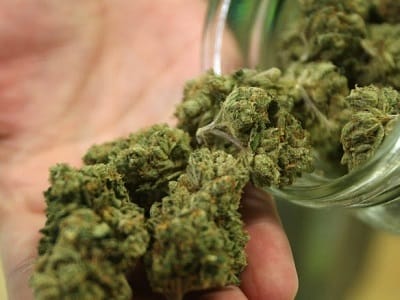 Cannabis With Love LLC