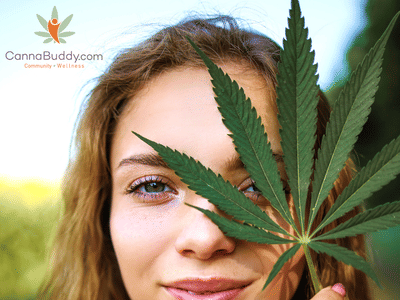 CannaBuddy CBD and THC Dispensary