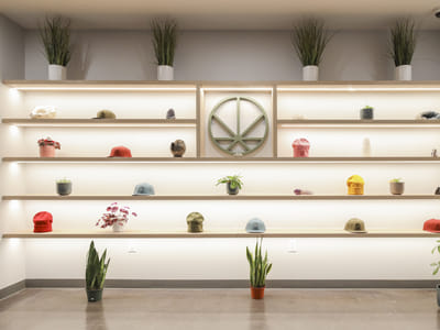 Cannavine Santa Rosa