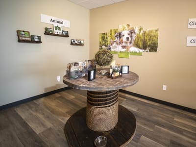 Capital CBD American Shaman