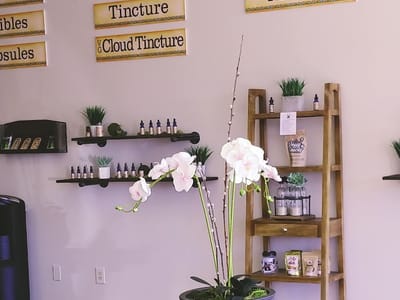 CBD American Shaman - Bearden