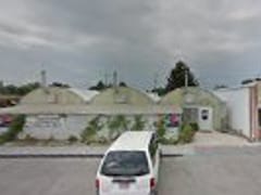 CBD American Shaman - Burley