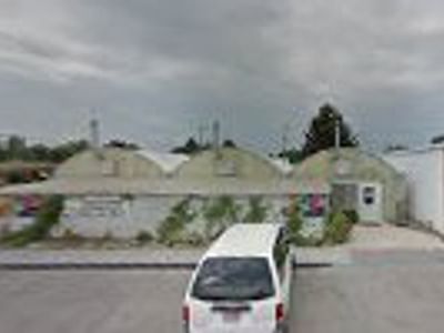 CBD American Shaman - Burley