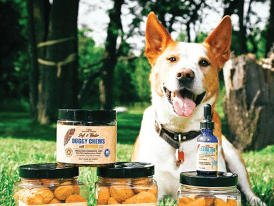 CBD American Shaman - CBD Oil, Delta 8, HHC, Gummies - Elizabethtown CBD Store