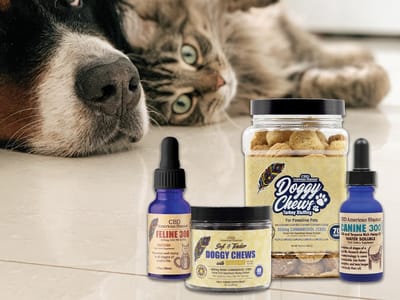 CBD American Shaman | CBD Oil, Gummies, Cream | Delta 8 Shop | HHC | Sarasota CBD Store (Cattlemen Rd.)