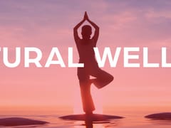 CBD American Shaman | CBD Oil, Gummies, Cream | Delta 8 Shop | HHC | Tampa CBD Store