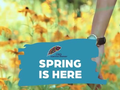 CBD American Shaman - CBD Oil, Gummies, Delta 8, Cream - Louisville CBD Store