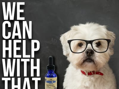 CBD American Shaman Galveston