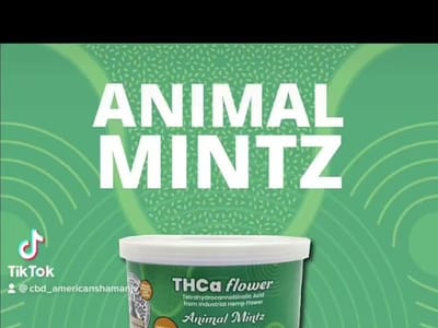 CBD American Shaman Jersey Village