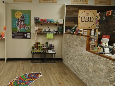CBD American Shaman Ledyard
