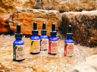 CBD American Shaman Londonderry