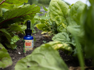 CBD American Shaman of Denison