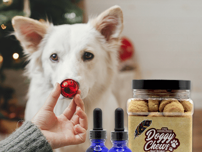 CBD American Shaman of Flower Mound