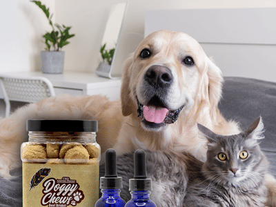 CBD American Shaman of Greenville