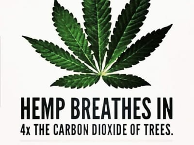 CBD American Shaman of Lubbock