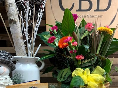 CBD American Shaman of Plaistow