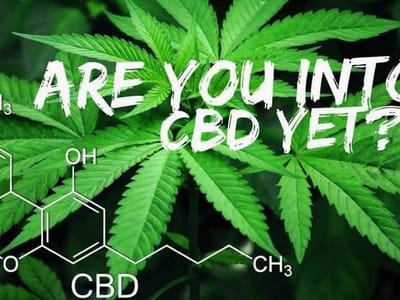 CBD American Shaman of Rockwall