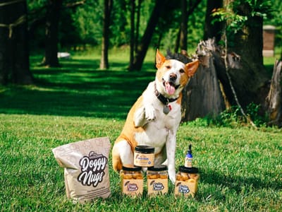 CBD American Shaman of West Des Moines