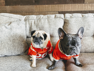 CBD American Shaman - Overland Park, KS - College Square Shopping Center