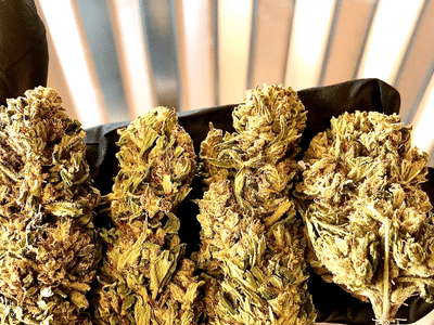 CBD American Shaman Port Arthur