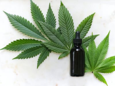 CBD American Shaman - Raytown Store