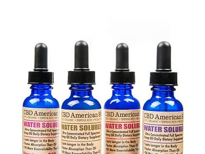 CBD American Shaman, Southern Maine