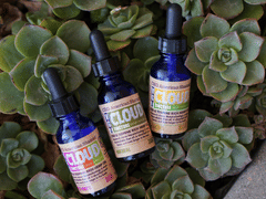 CBD American Shaman Temecula