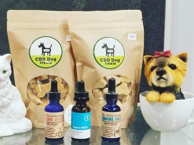 CBD - Comfort Beyond Delight