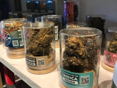 CBD Essentials USA