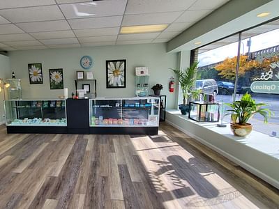 CBD Healthier Options