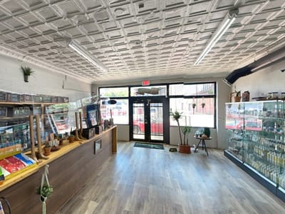 CBD Kratom Bishops Arts District