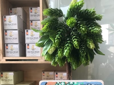 CBD Kratom Wentzville