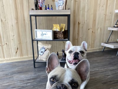 CBD Lakeway - Hemp Health Essentials - American Shaman