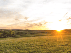 CBD Natural Solutions