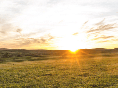 CBD Natural Solutions