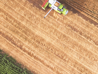 CBD Natural Solutions