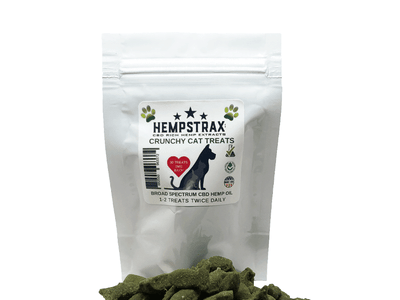 CBD OC Wellness Solutions