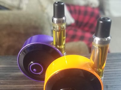 CBD of Newton Sussex Location