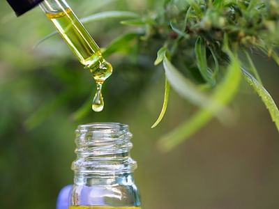 CBD Oil Kansas City