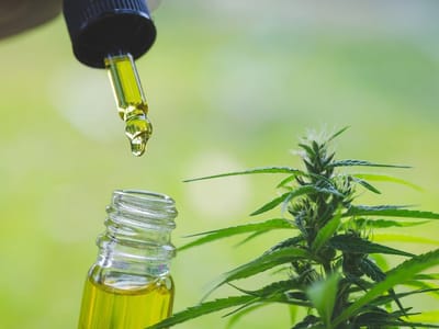 CBD Oil Las Vegas