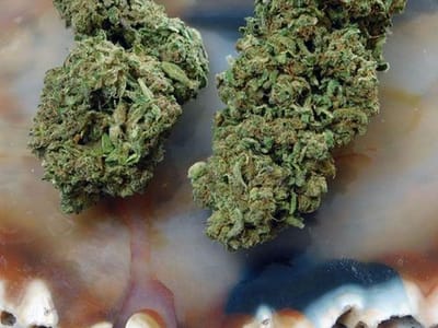 CBD Oil of Bentonville, AR