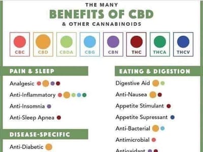 CBD Oil Products