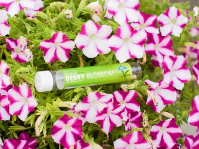 CBD Plus USA | Delta 8, HHC, THCP & more!