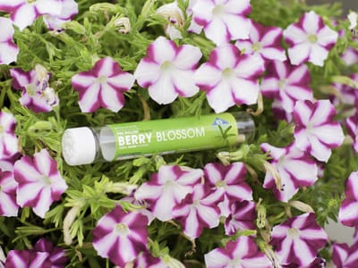 CBD Plus USA | Delta 8, HHC, THCP & more!