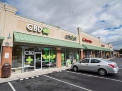 CBD Plus USA | Delta 8, HHC, THCP & more!