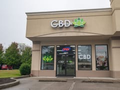 CBD Plus USA | Delta 8, HHC, THCP & more!