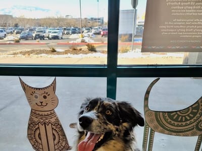 CBD Reno American Shaman