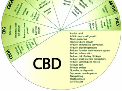 CBD Shop of Northeast Pennsylvania